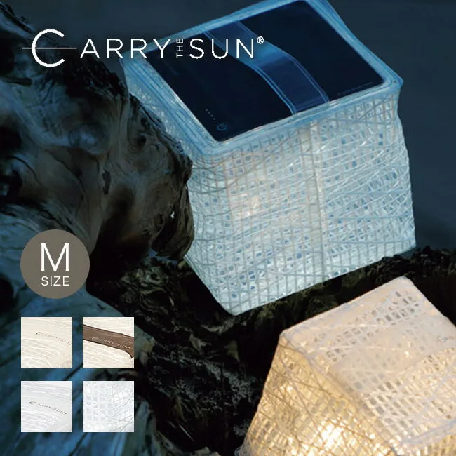 CARRY THE SUN LED