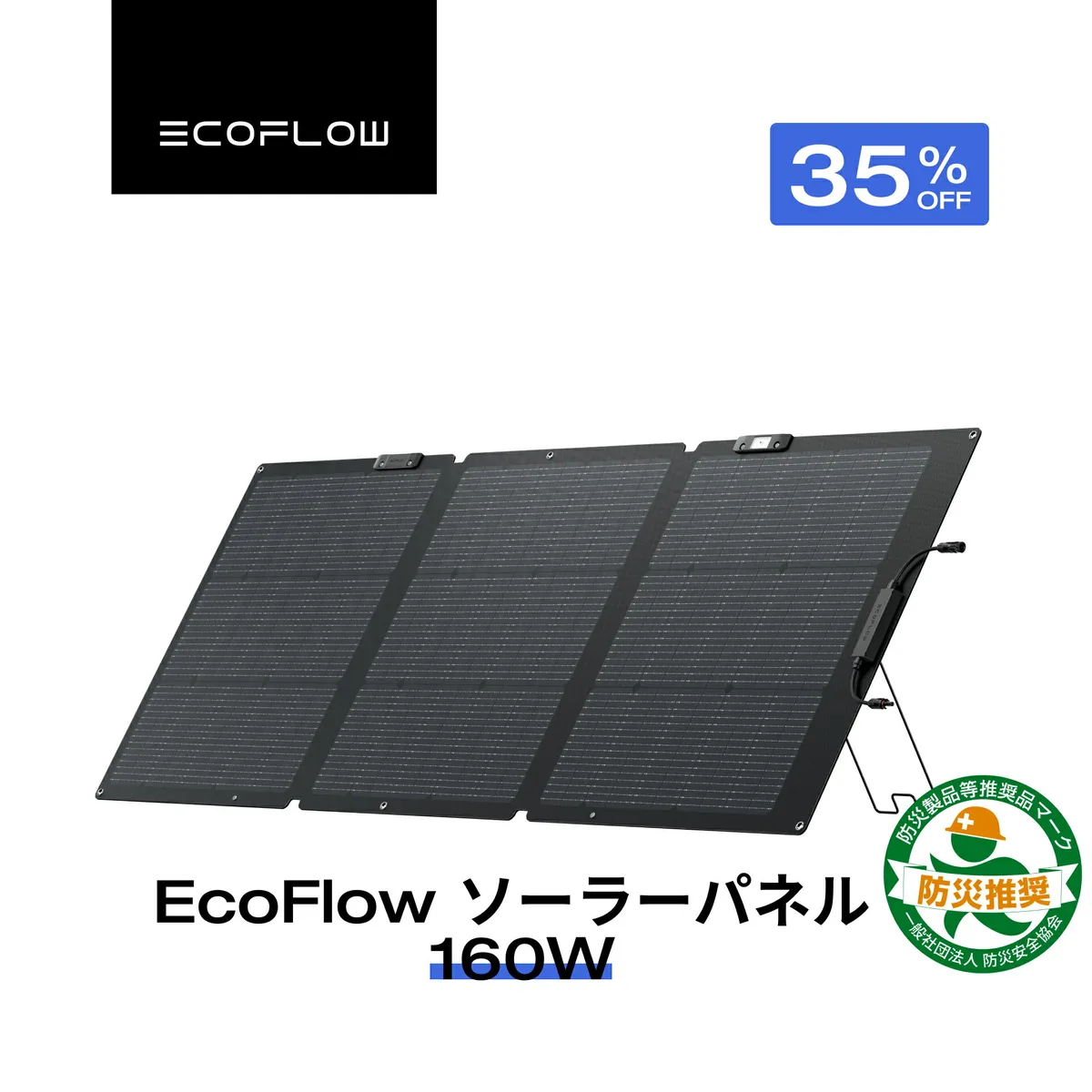 ECOFLOW GEN2